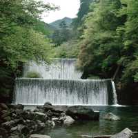 【四国】仁淀ブルーを求めて安居渓谷へ🏞