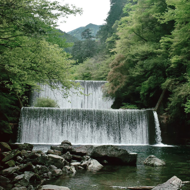 【四国】仁淀ブルーを求めて安居渓谷へ🏞