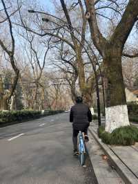 West Lake: The Timeless Beauty of Hangzhou