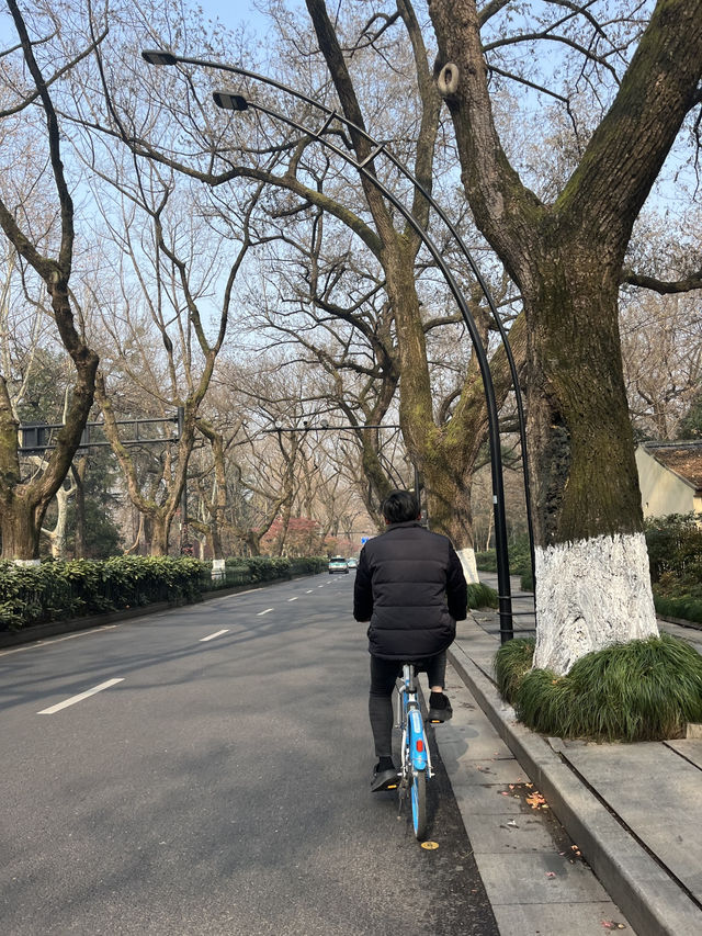 West Lake: The Timeless Beauty of Hangzhou
