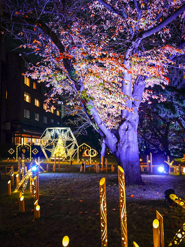 【東京】西洋文化と和の文化がイルミネーションでコラボ✨