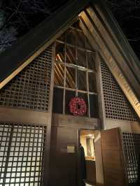 【軽井沢町🇯🇵】入園無料！駐車場無料！幻想的な空感のイルミネーション🎄
