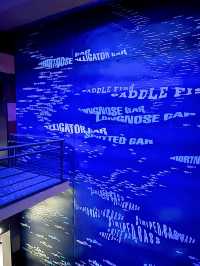 ［田納西旅遊］Tennessee Aquarium-心目中第一名的水族館🐠🦈🪼🐊🦋