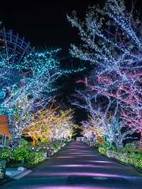 【見所は2つの観覧車！🎡】よみうりランド60周年のイルミネーションがアートで美しすぎる！！💎