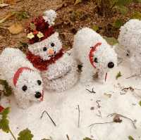 Cozy Botanical Garden with Festive Spirit