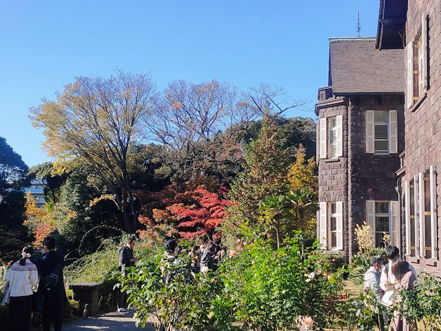 【旧古河庭園】