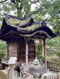 【福岡旅行】大宰府／学問の神様を祀る人気パワースポット