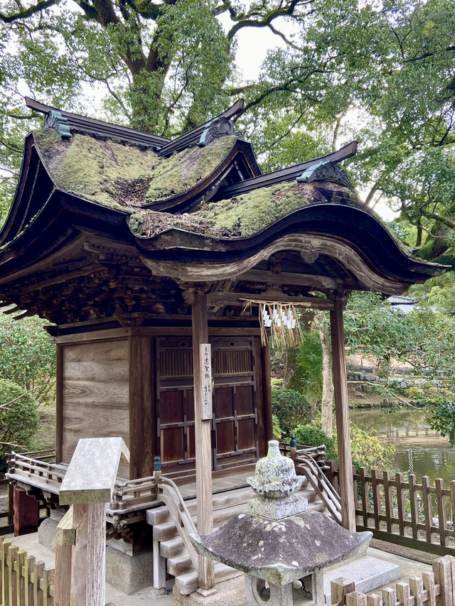 【福岡旅行】大宰府／学問の神様を祀る人気パワースポット