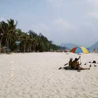 หาดป่าตอง, สุรินทร์, ในหาน ภูเก็ต