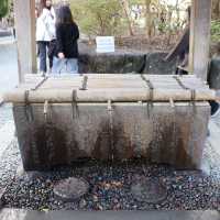 Kamakura Daibatsu