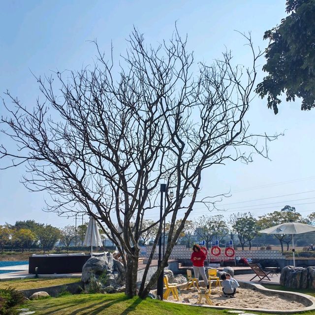 惠洲慢享欖園一個適合親子的民宿