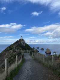 Hiking to the Edge: The Scenic Adventure to Nugget Point Lighthouse