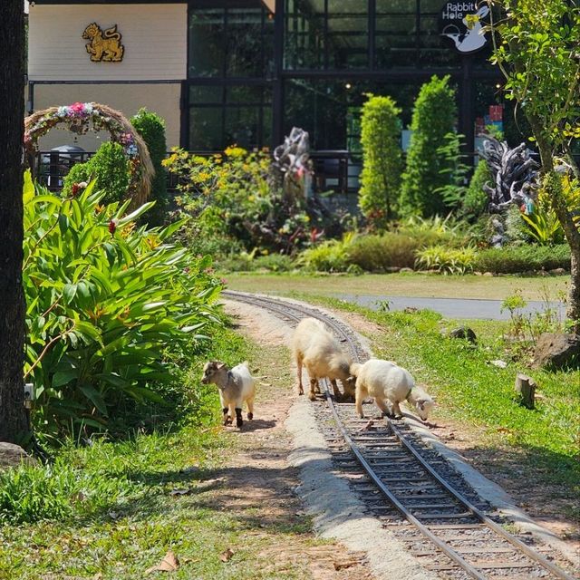 ร้านโพรงกระต่าย