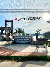 สะพานชมกวาง 🦌