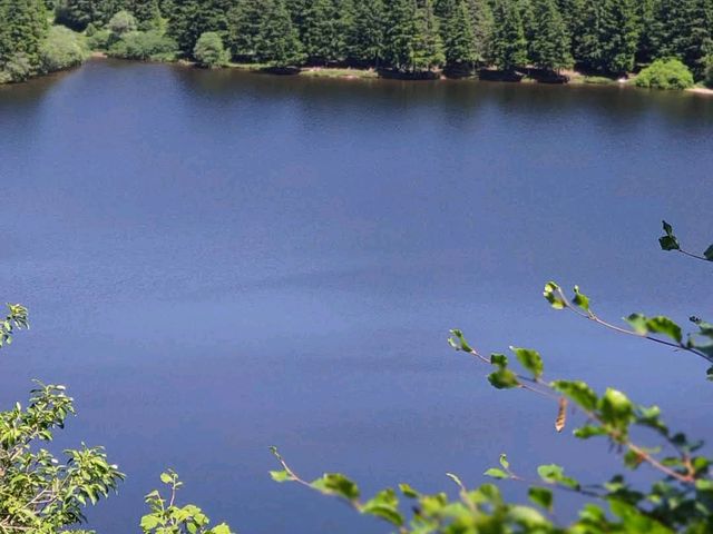 Auvergne Volcanoes Regional Park