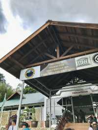 The Beauty of Kundasang, Sabah