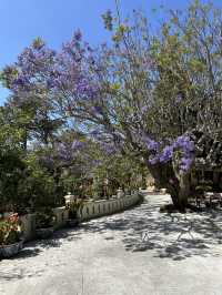  Strolling through the charm of Dalat