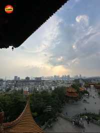 หอนกกระเรียนเหลือง - อู๋ฮั่น🇨🇳
