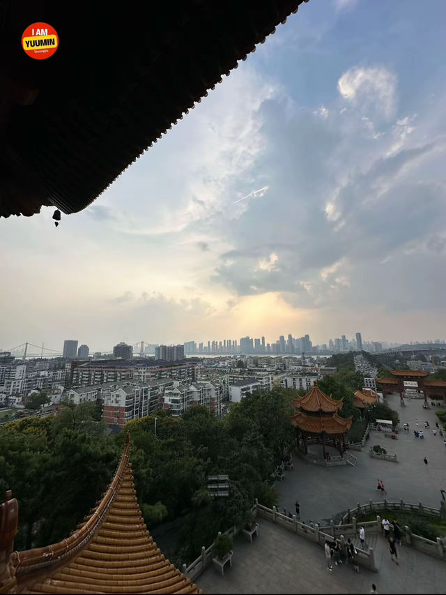 หอนกกระเรียนเหลือง - อู๋ฮั่น🇨🇳