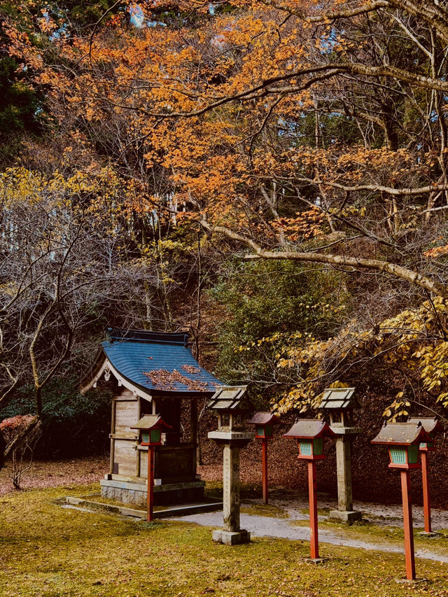 比叡山｜歷史與傳奇 搭巴士才能逛完的世界遺產