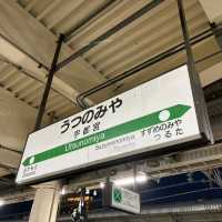 【栃木県】宇都宮〜王道観光&グルメ〜
