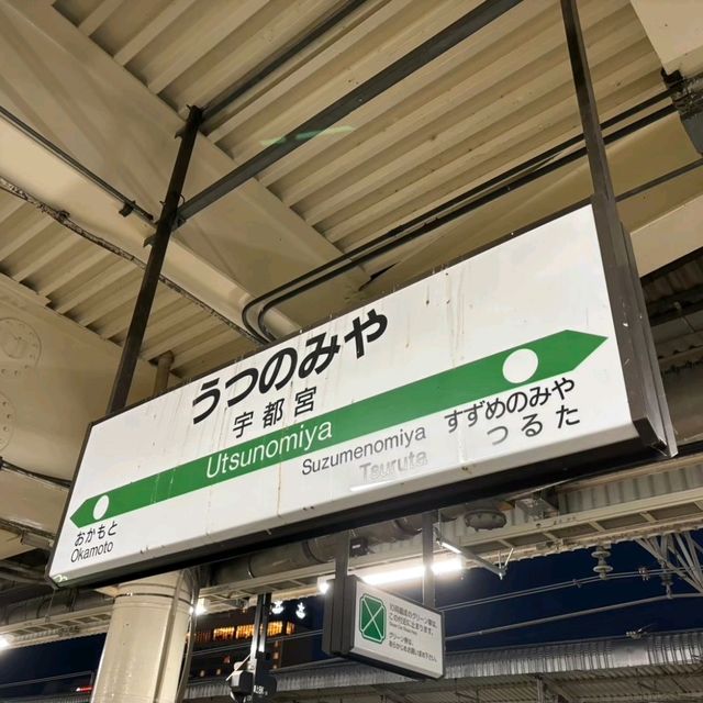 【栃木県】宇都宮〜王道観光&グルメ〜