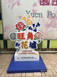 旺角太子一天遊～花墟+雀仔街🌹🐦
