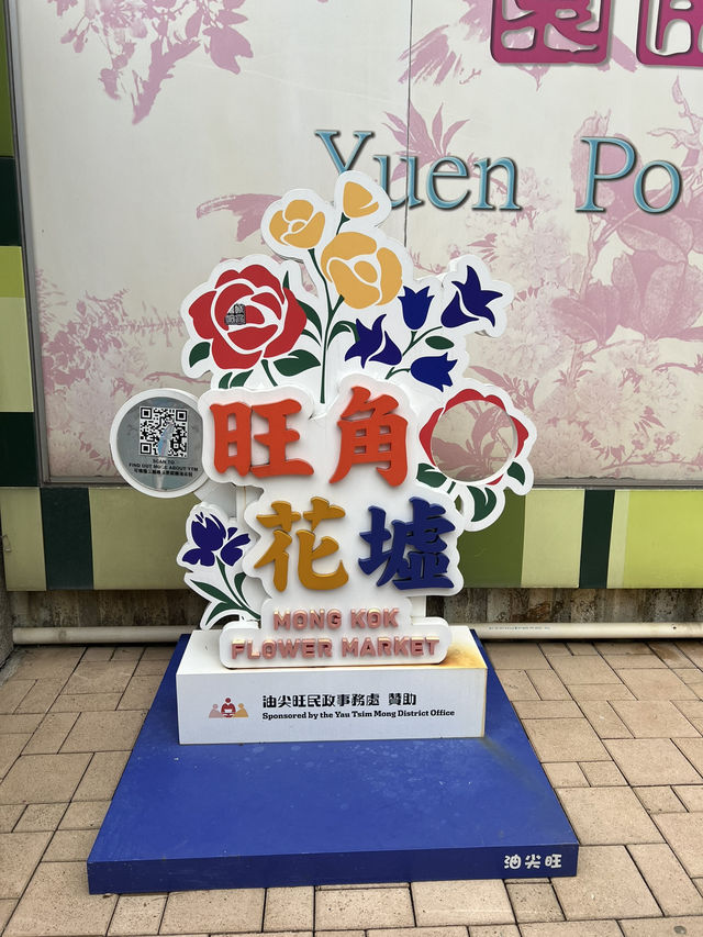 旺角太子一天遊～花墟+雀仔街🌹🐦