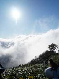 【北海道×3泊4日の旅】星野リゾートトマムの代表的スポット 「雲海テラス」
