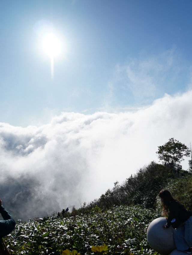 【北海道×3泊4日の旅】星野リゾートトマムの代表的スポット 「雲海テラス」
