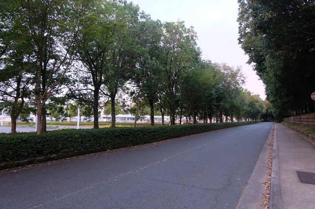 Hiroshima Airport Hotel ใกล้สนามบินฮิโรชิม่ามาก