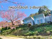 “ภูหมอกรีสอร์ท” ที่พักใกล้ภูชี้ฟ้า จ.เชียงราย