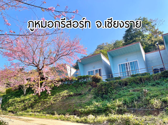“ภูหมอกรีสอร์ท” ที่พักใกล้ภูชี้ฟ้า จ.เชียงราย