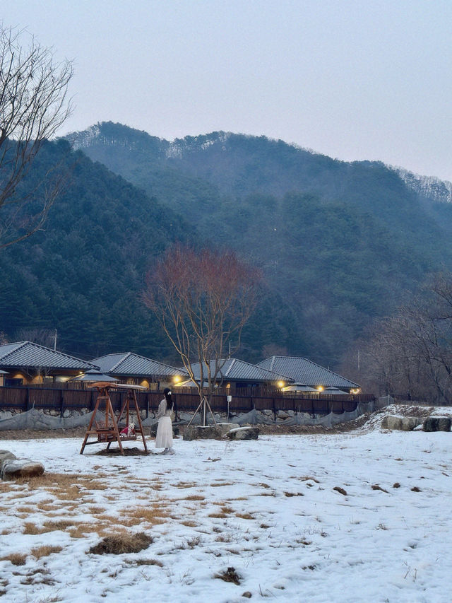 서울에서 1시간, 반려견을 위한 1만평 규모의 스테이🐾