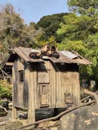 Nagasaki Bio Park