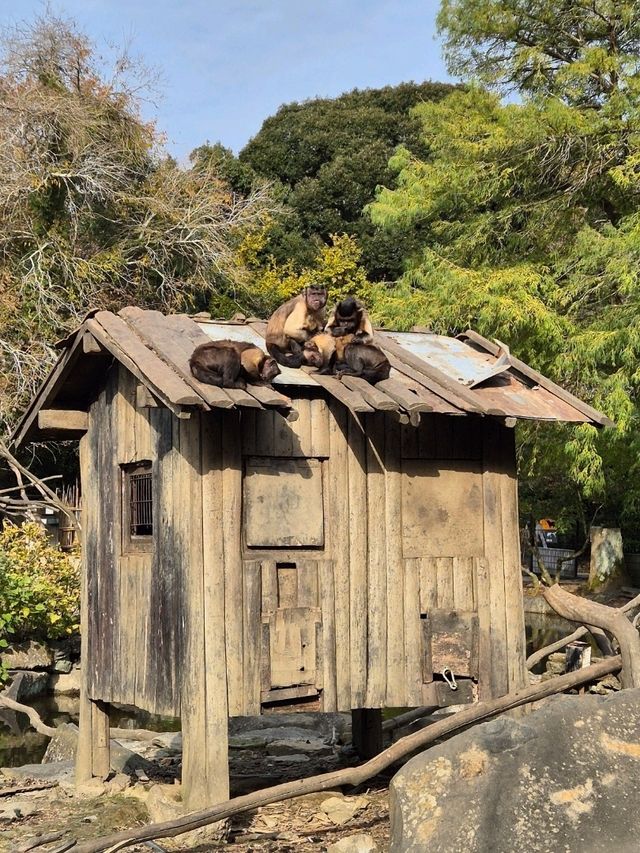 Nagasaki Bio Park