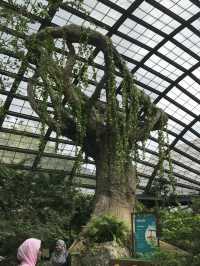 Fluttering Romance: A Couple’s Trip to Entopia Butterfly Farm 🦋❤️