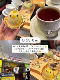 名古屋で行きたい最新スポット✨