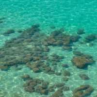 เกาะสีชัง ช่วงนี้น้ำใส ทะเลสวยมากๆ 🌊🏝️🩵