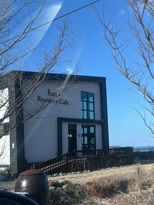 식물과 바다뷰로 힐링할 수 있는 숨겨진 서산 카페🤍