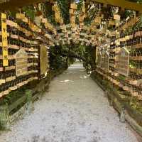 【宮崎県】ジャングルの中の神社？　-青島神社-