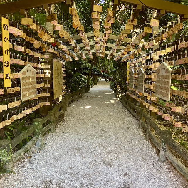 【宮崎県】ジャングルの中の神社？　-青島神社-