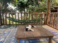 🇱🇦 世界遺産都市まで一泊2日の舟旅in Laos