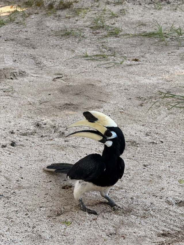 อุทยานแห่งชาติหมู่เกาะอ่างทอง🕊️🦜🏝️