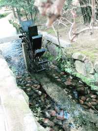 【曇り空の岡山。路面電車で岡山城　岡山後楽園と竹久夢二ミュージアムを巡る。】