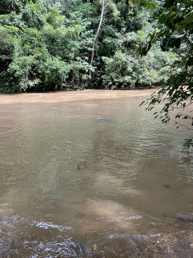A Rainy Season Visit to Air Terjun Lokomboro: Worth It? 🌧️💦