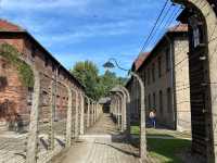 พิพิธภัณฑ์ Auschwitz 