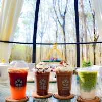คาเฟ่ในสวนยาง☘️กับโดมแก้วสุดจึ้ง Phuket