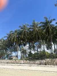 Amazing Beaches to Visit in Sumba Island 🏝️✨