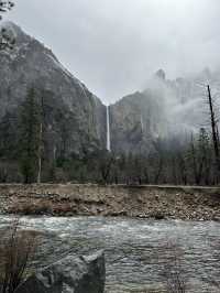 Yosemite National Park 
